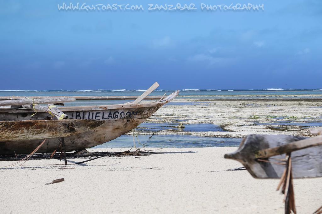 Albatross Ocean View Hotell Dongwe Exteriör bild