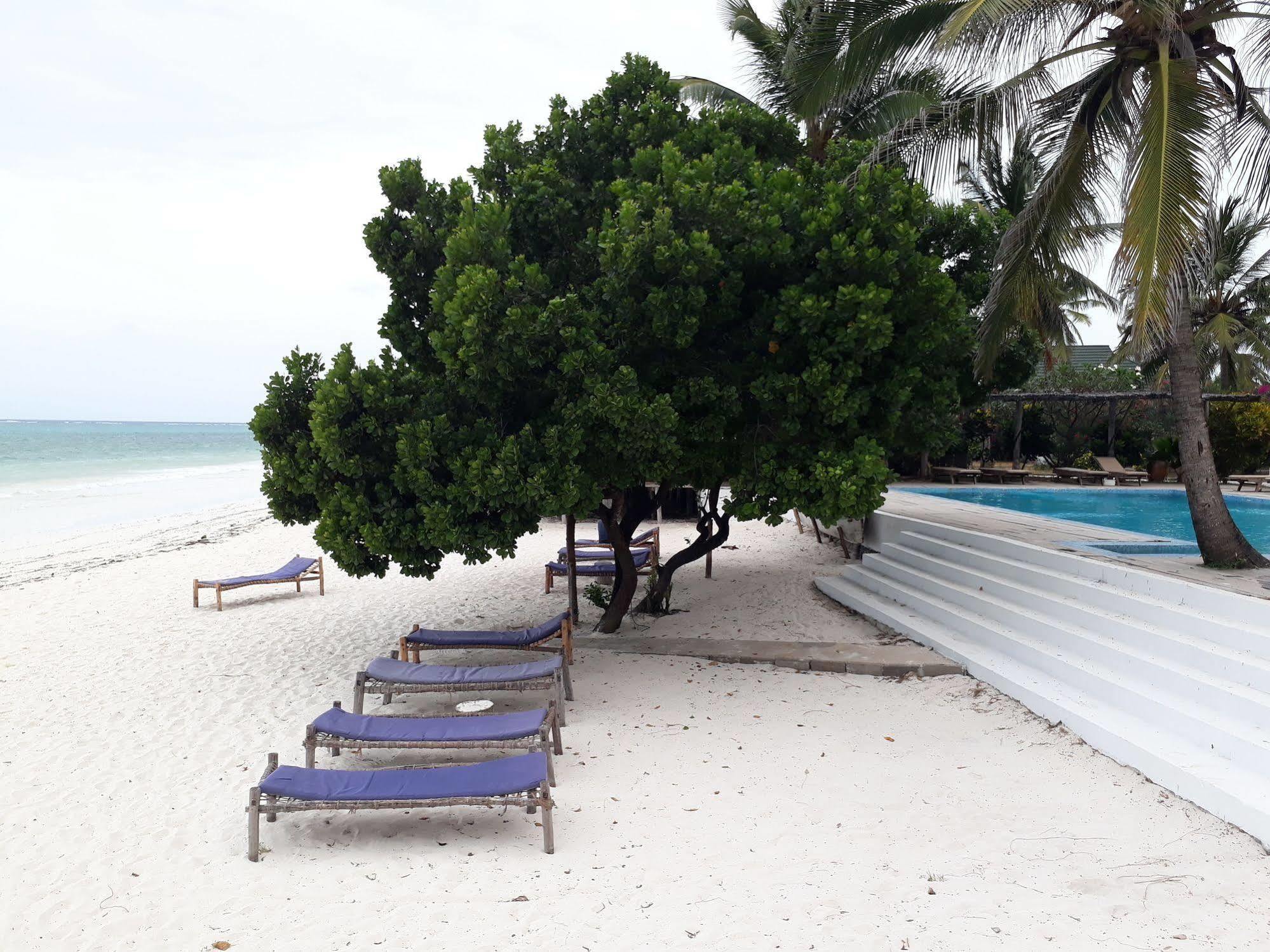 Albatross Ocean View Hotell Dongwe Exteriör bild